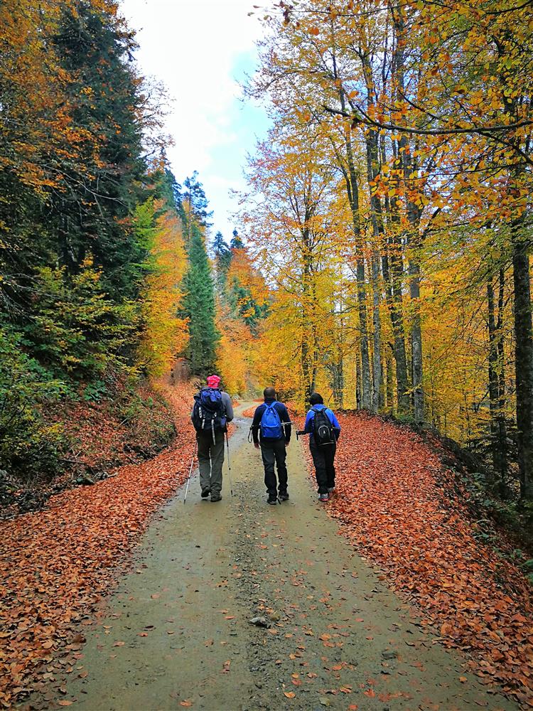 Dünyanın En Etkileyici Doğa Yürüyüş Rotası: Patagonya'nın Yolları