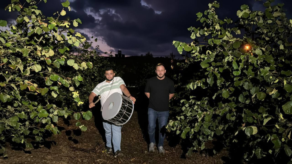Fındıklarını yaban hayvanlarından korumak isteyen köylüler 