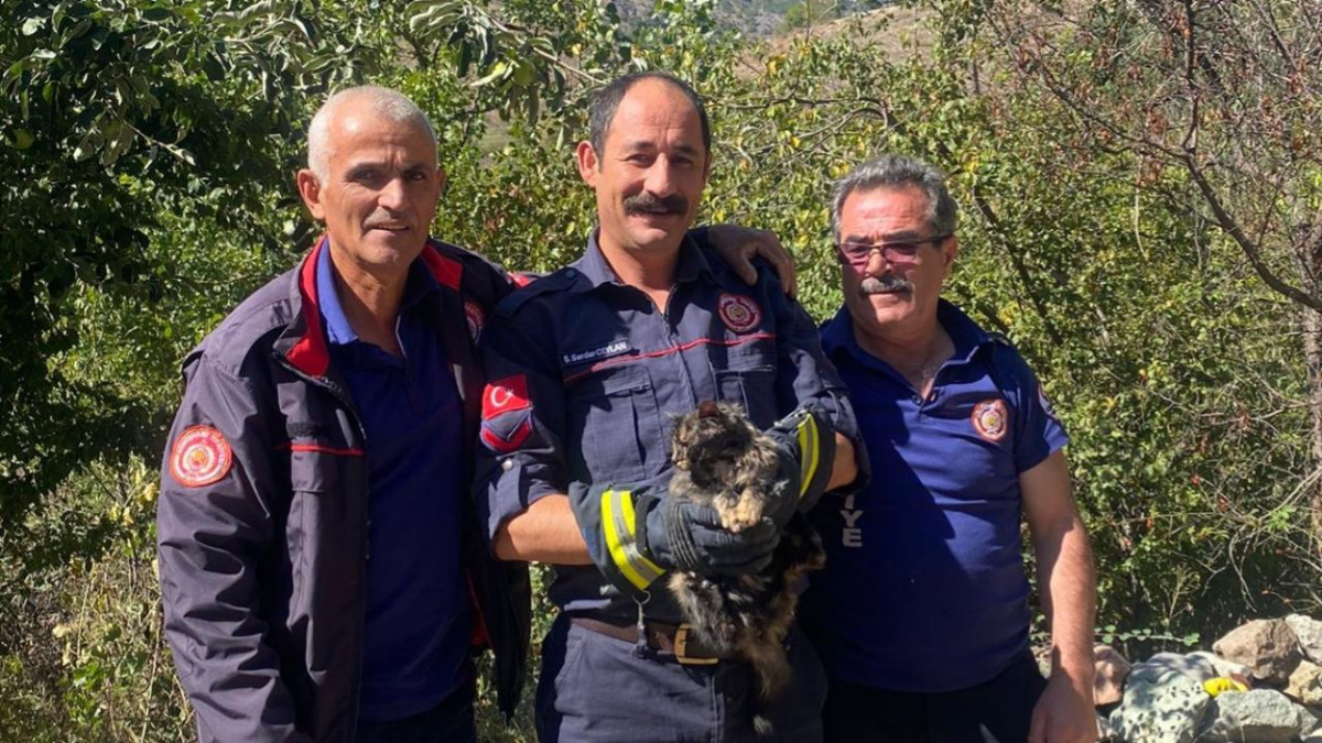 Gümüşhane'de kafası konserve kutusuna sıkışan kedi kurtarıldı