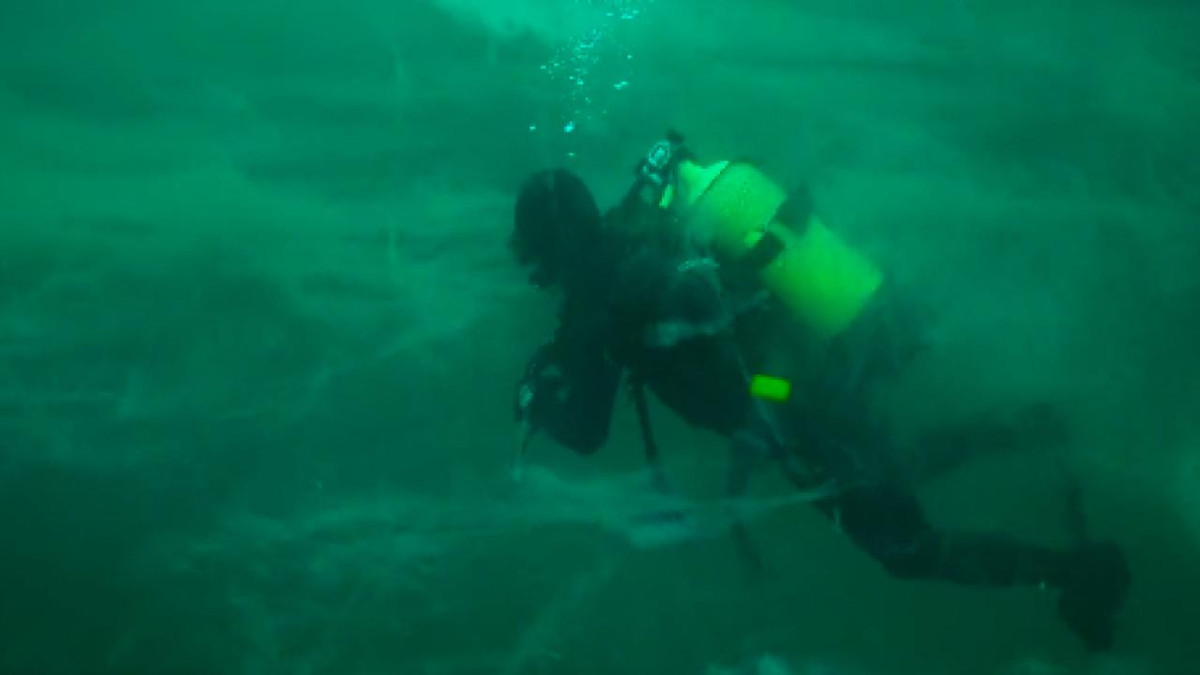 Marmara Denizi'nde müsilaj alarmı