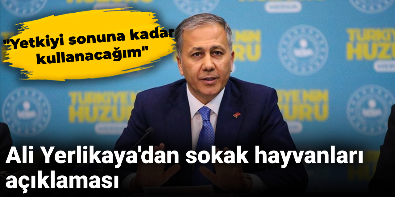 Ali Yerlikaya'dan sokak hayvanları açıklaması