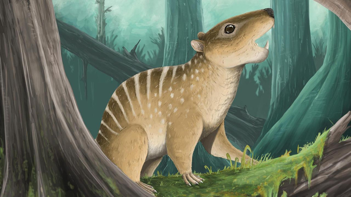 Bir öğrenci sahilde 145 milyon yıllık fosil buldu, yeni bir tür keşfedildi