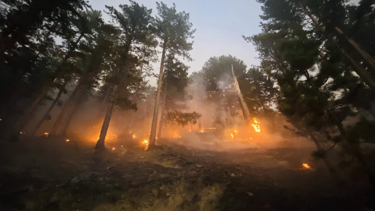 3 noktada orman yangınlarına müdahale sürüyor